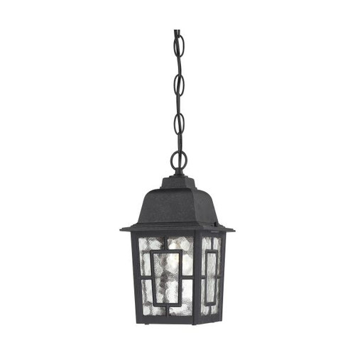Satco 60-4933 Banyan; 1 Light; 11 in.; Outdoor Hanging with Clear Water Glass