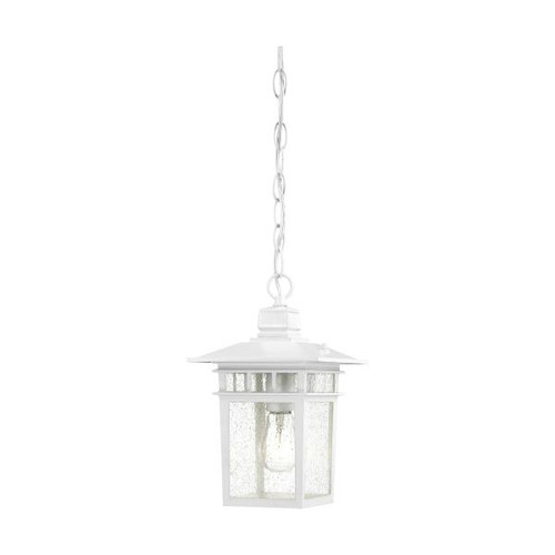 Satco 60-4954 Cove Neck; 1 Light; 12 in.; Outdoor Hang with Clear Seed Glass