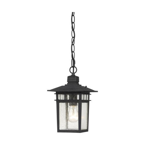 Satco 60-4956 Cove Neck; 1 Light; 12 in.; Outdoor Hang with Clear Seed Glass