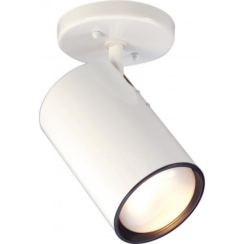 Satco SF76-418 1 Light - R30 - Straight Cylinder - White Finish