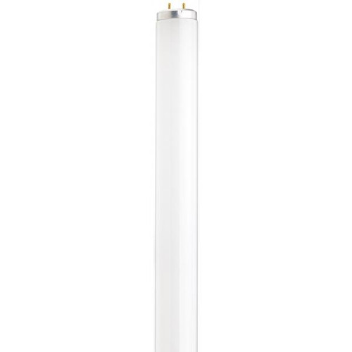 Satco S6610-TF 40 Watt; T12; Fluorescent; 5000K Natural Light; 90 CRI; Medium Bi Pin base; Shatter Proof