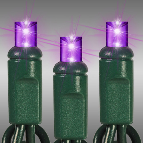 HLS LS-CMS-50WA-4GPU LED Christmas String Lights - 17 ft. - (50) Wide Angle Purple LED's - 4 in. Bulb Spacing - Green Wire