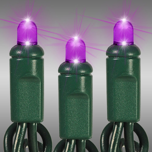 HLS LS-CMS-50LCVPUG LED Christmas String Lights - 25 ft. - (50) Multi-Directional Purple LED's - 6 in. Bulb Spacing - Green Wire