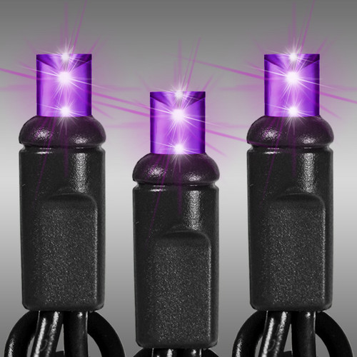 HLS LS-BOO-5MM50PB LED Christmas String Lights - 25 ft. - (50) Wide Angle Purple LED's - 6 in. Bulb Spacing - Black Wire