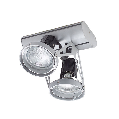 Eurofase Lighting 14778-018 Platinum Jive 2-Light Monospot