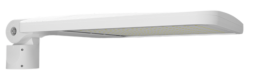 ALEDXL5TSFNW/480/7PR