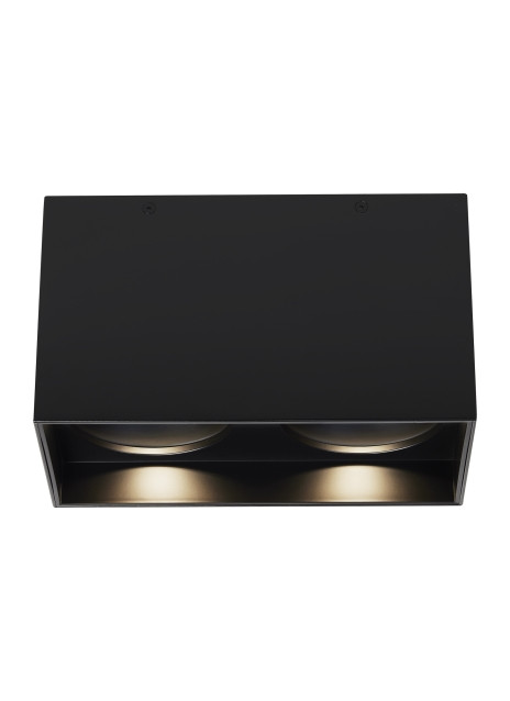 Tech Lighting 700FMEXOD Exo 6 Dual Flush Mount