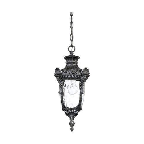 Nuvo 60-2025 DUNMORE HANGING LANTERN Dunmore 1 Light Hanging Lantern with Clear Water Glass (Discontinued)