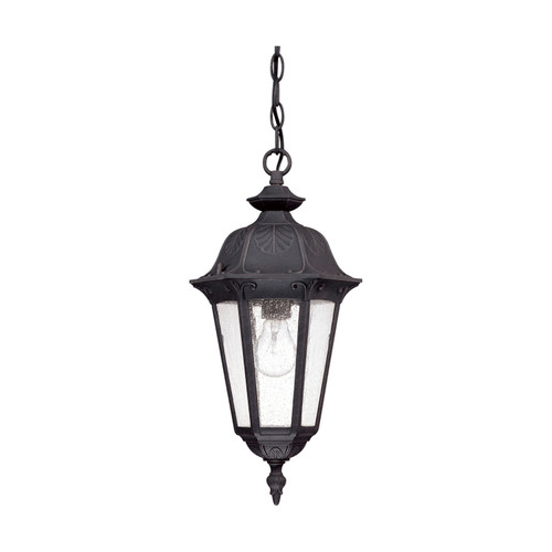 Nuvo 60-2038 CORTLAND 1 LT HANGING LANTERN Cortland 1 Light Hanging Lantern with Seeded Glass (Discontinued)