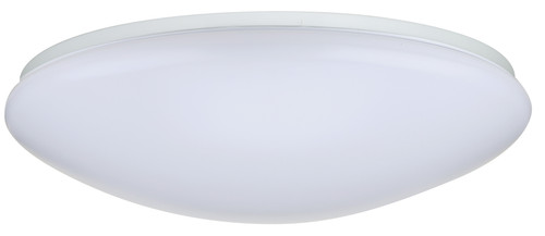 Nuvo 62-766 19" WHITE ACRYLIC LED 19 in. Flush Mounted LED Light Fixture White Finish with Occupancy Sensor 120V (Discontinued)