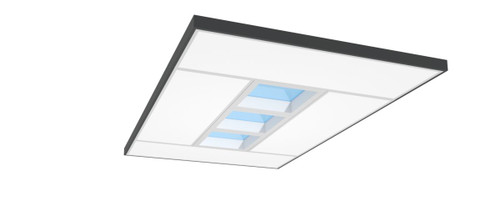 Ledalite 912401564423 Large Island Suspended 6' x 10'