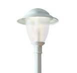 Lumec LP20-100HPS-PCCS-SE3HS LP, 100 HPS, Type III, Segmented Cut-off Reflector with HS