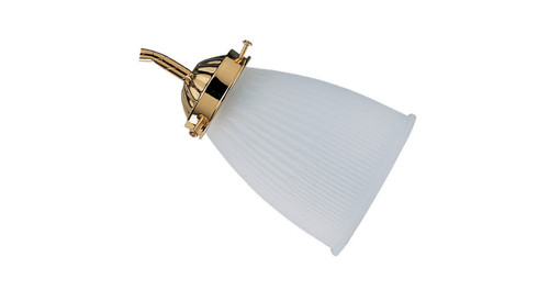 RP Lighting+Fans 2004CG Clear Glass Side Shade