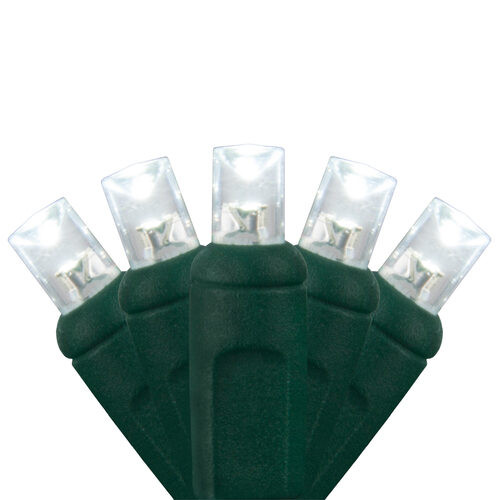 Wintergreen Corporation 50582 50 5mm Cool White LED Christmas Lights, Green Wire, 6" Spacing