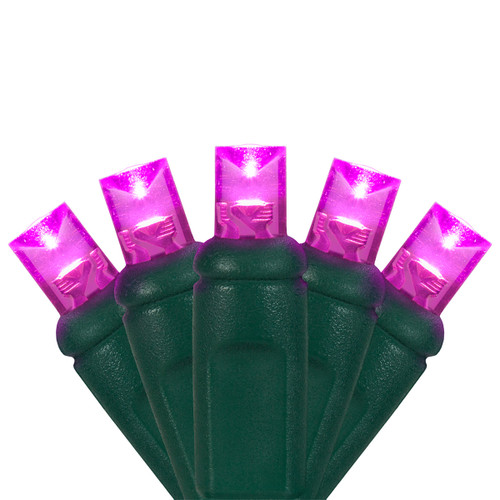 WGC-21036 - 5mm Pink LED Christmas Lights, 70 Lights, 24', Green Wire, 4" Spacing - Wintergreen Corporation