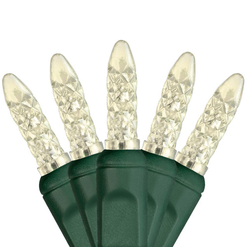 WGC-20335 - M5 Warm White LED Lights, 70 Lights, 24', Green Wire, 4" Spacing - Wintergreen Corporation
