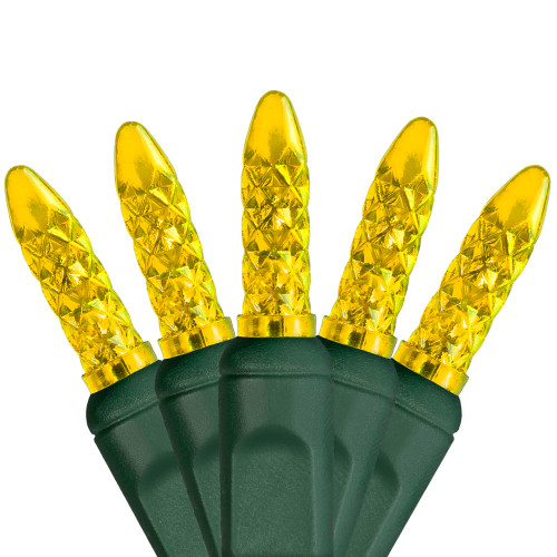 WGC-20332 - M5 Gold LED Lights, 70 Lights, 24', Green Wire, 4" Spacing - Wintergreen Corporation