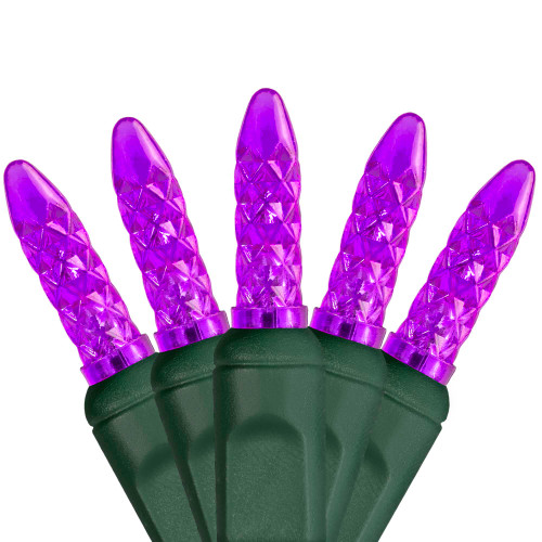 WGC-21035 - M5 Purple LED Lights, 70 Lights, 24', Green Wire, 4" Spacing - Wintergreen Corporation