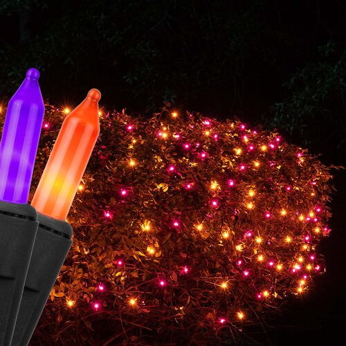 Wintergreen Corporation 76397 4' x 6' Purple, Orange Mini Christmas Net Lights, 150 Lights on Black Wire