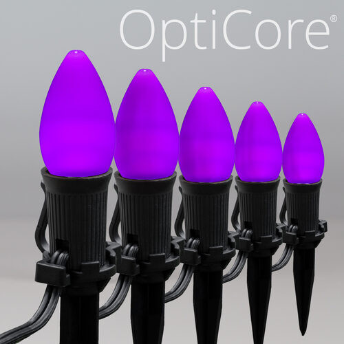 Wintergreen Corporation 81173 C7 Purple Smooth OptiCore Halloween LED Pathway Lights, 25 Lights, 4.5 Inch Stakes, 25'
