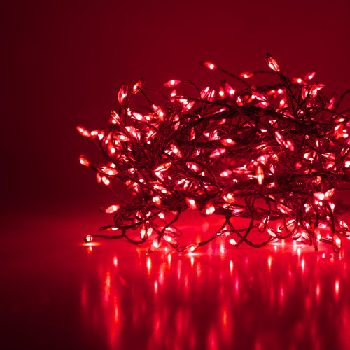 WGC-76031 - Red LED Fairy Lights, 400 Lights, 8.2', Silver Wire, 6" Spacing - Wintergreen Corporation
