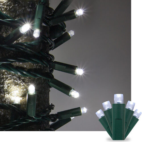 Wintergreen Corporation 82596 50 Kringle Traditions 5mm Cool White LED Christmas Lights, Green Wire, 4" Spacing