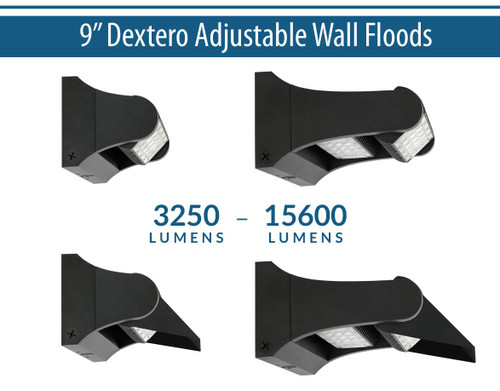 Liton WLP3: 9" Dextero Adjustable Wall Floods New Product Showcase