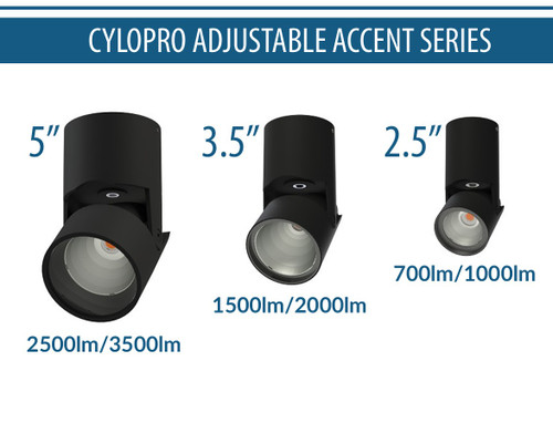 Liton LCALDJ: New Cylopro Adjustable Accent Series! New Product Showcase