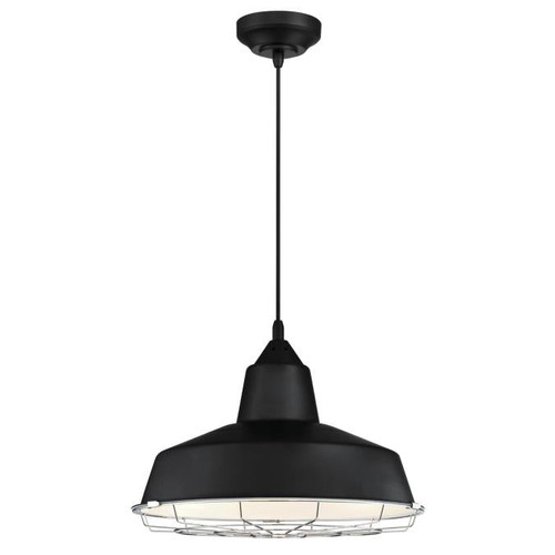 6131900 - 20W DIM LED Pendant Black w/Chrome Cage - Westinghouse