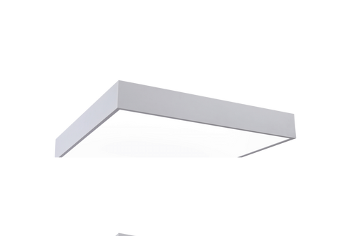 ASL Lighting C2131 Ceiling Fixtures Standard Lens POLYCARBONATE LENS