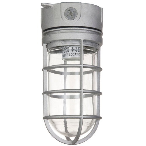 ASL Lighting CVPGA Clear Glass 120-227V Bulb Compatible Ceiling Outdoor