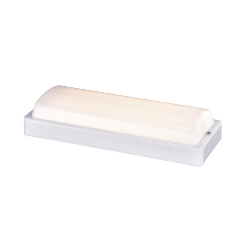 ASL Lighting DRED Opal Acrylic Outdoor/Indoor Ceiling & Wall Companions