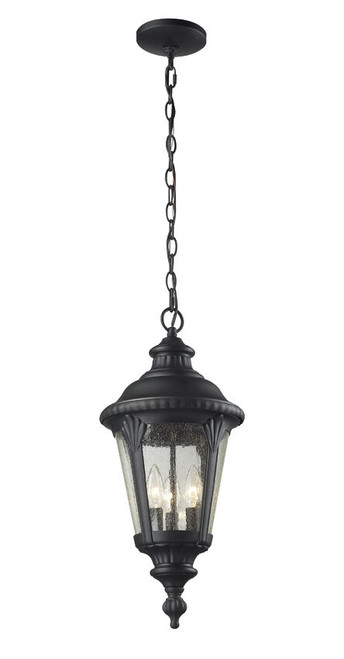 Z-lite 545CHM-BK Black Medow Outdoor Chain Mount Ceiling Fixture