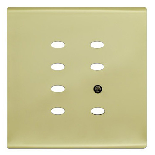 Leviton QTM0F-5P Discontinued Product. MBus Control Station Face Plate, 5 Scene, blank for custom engraving. Color: Polished Brass