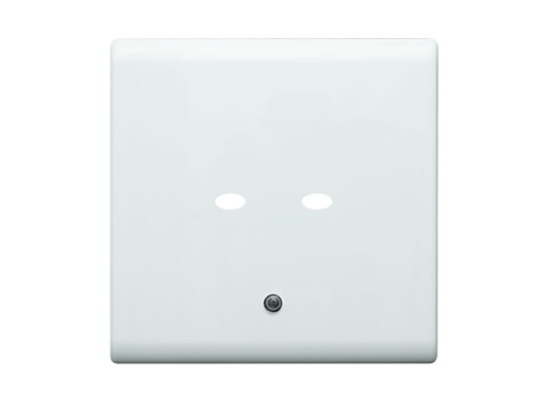 Leviton QTQ0F-2W QS-Net Control Station Face Plate, 2 Button, Blank for custom engraving. Color: Gloss White