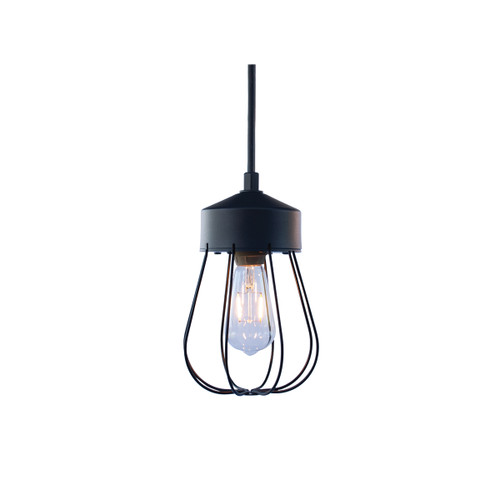 ANP Lighting SPA-GUP121 Socket Pendant