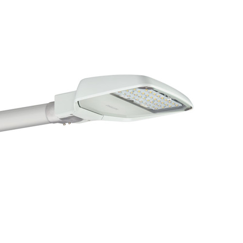 Philips Lighting BGP307 LED120-4S/740 I DM50 DDF27 D18 48 Road And Street