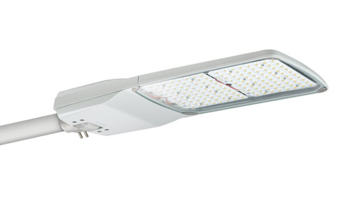 Philips Lighting BGP294 LED240-4S/830 II DM31 MSP CLO SRT Road And Street