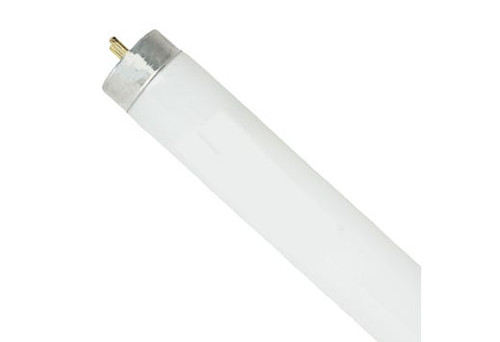 Halco Lighting Technologies 7577 Covershield Fluorescent Linear T8 Tube 32W 3500K Medium Bi-Pin Base