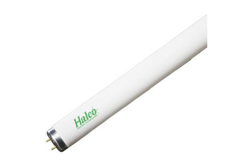 Halco Lighting Technologies 7826 Fluorescent F40 T12 Tube 48in 40W 5000K Medium Bi-Pin Base Rapid Start Non-Dimmable 3150 Lumens Avg Life 24000 hrs