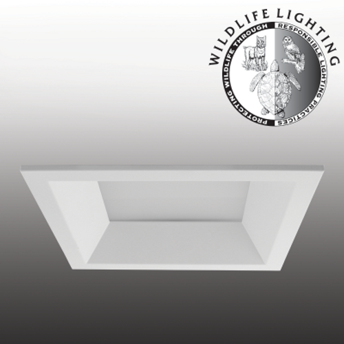 Rayon Lighting RPA6-SFD PRIME 6" Square Flange Turtle Friendly Downlight Turtle Friendly Downlight