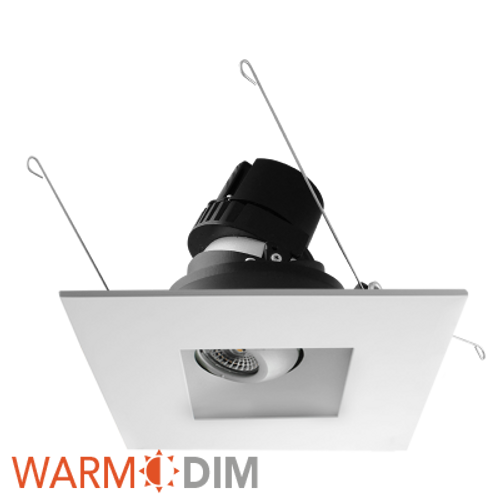 Rayon Lighting RFL6A 6" LED Warm Dim Adjustable Recessed 6" Recessed