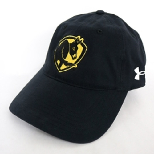 Big Ass Fans Under Armour Sport Cap-Black