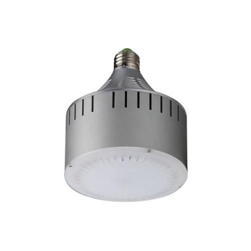 Light Efficient Design LED-8055E27 LED Bulbs PAR38 30W