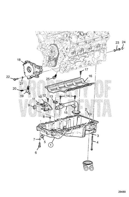 Adjusting Screw(V2) - Volvo Penta (20551362)