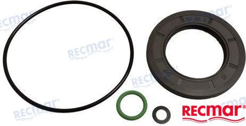 GASKET SET LOWER UNIT DPH (REC23019)