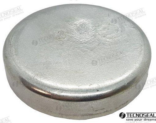 DISC IN ZINC DIA 100 H 20 (TEN20104)