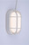 EOL-WL14WH-3100se - 6.2W LED Oval Bulkhead Wall Light 434 Lumens 6CCT Selectable 2700K-6500K Wet Rated - Euri Lighting