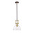 P609D-A-38/30-E26 - 8W LED Pendant 2700K ST21 E26 Clear Glass - Sun Park Electronics