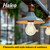 5A19-CL-FLED4-930-E26-D-T24 - 5W 3000K LED Filament A19 Bulb 40W Eq - Halco